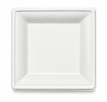 Load image into Gallery viewer, 10" Square Fibre Plate (250)